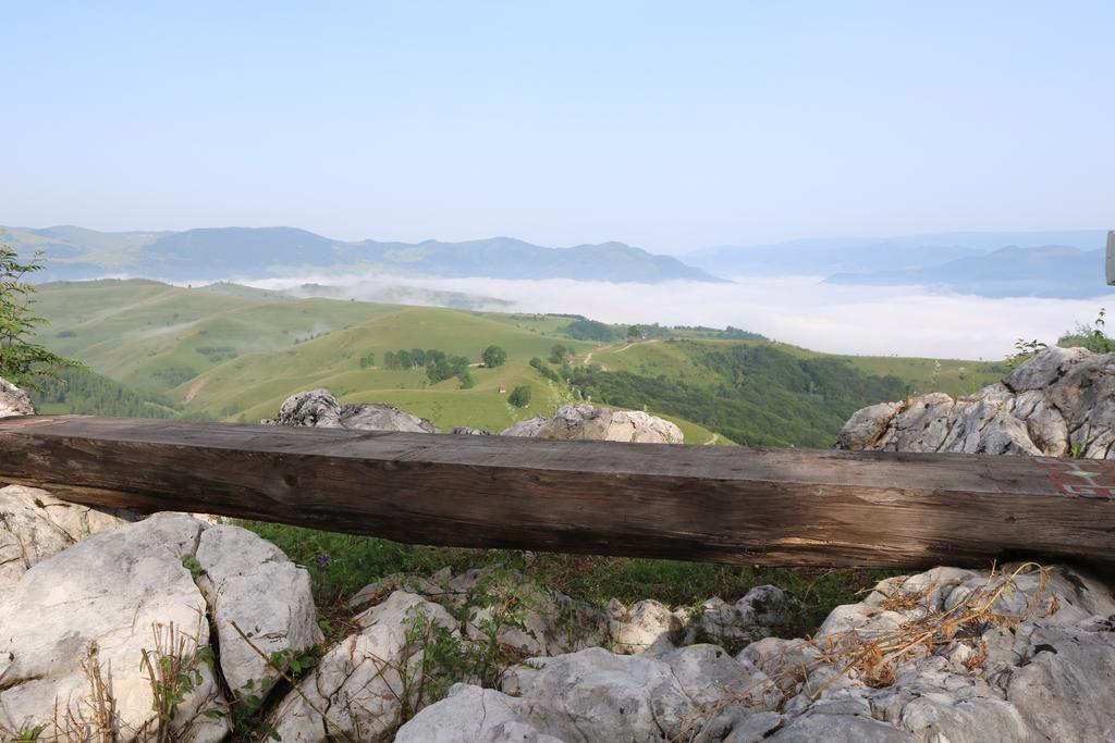 ホテルRaven'S Nest Sălciua de Jos エクステリア 写真