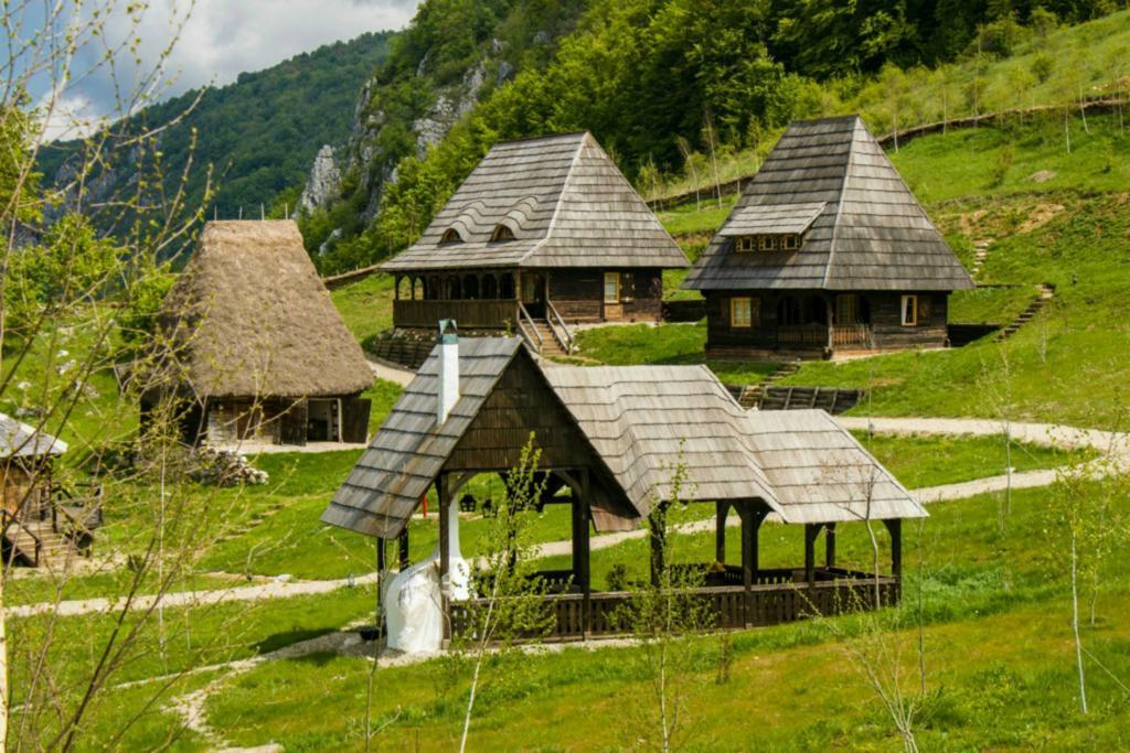 ホテルRaven'S Nest Sălciua de Jos エクステリア 写真