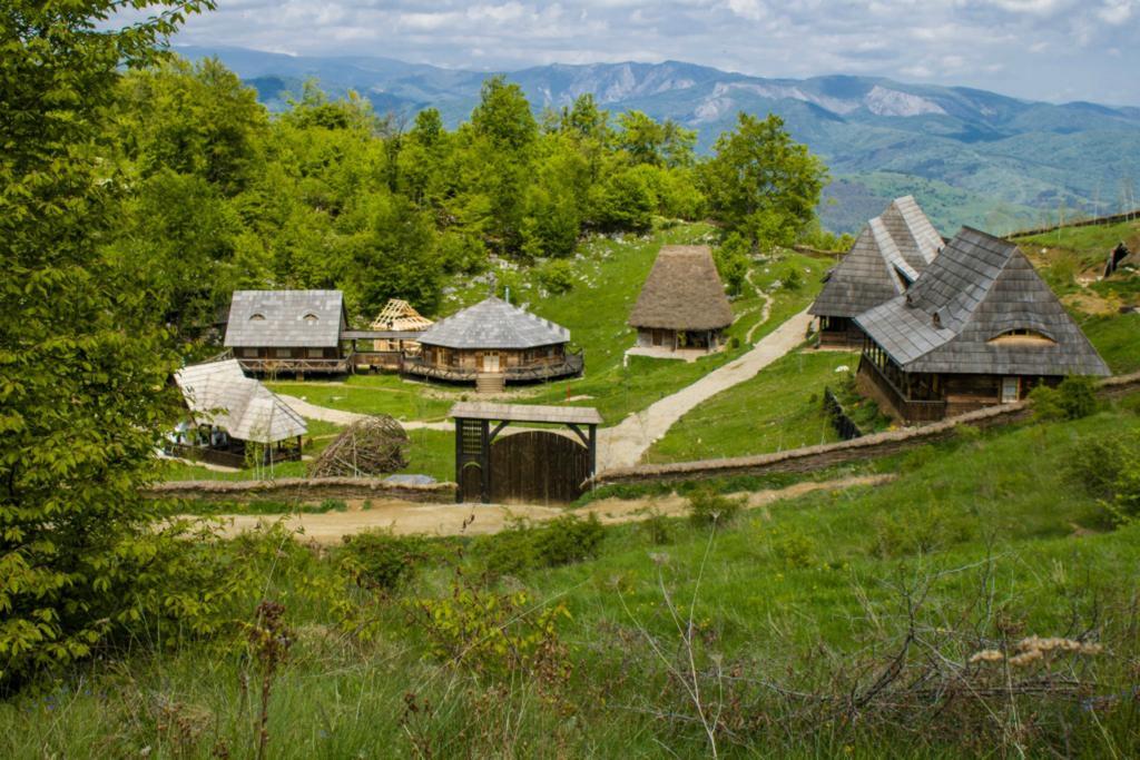 ホテルRaven'S Nest Sălciua de Jos エクステリア 写真