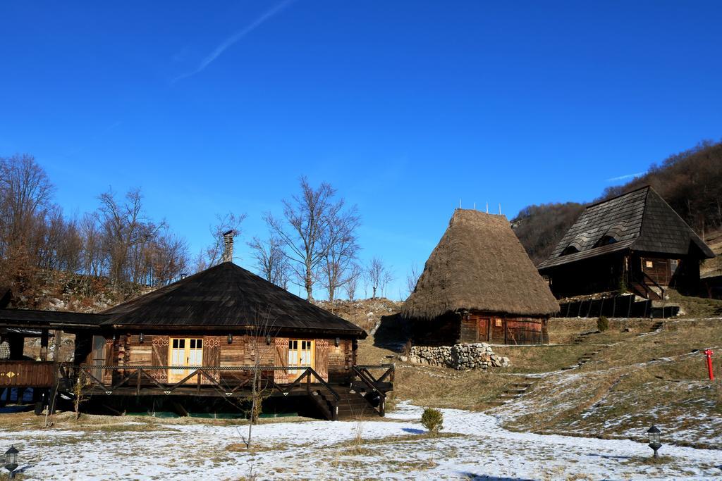 ホテルRaven'S Nest Sălciua de Jos エクステリア 写真
